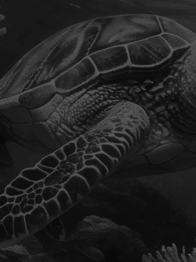 Diagrama Tartaruga: o que é e como criar em 8 passos