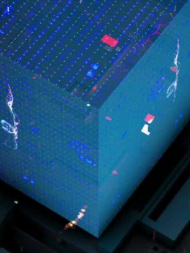 O que é Blockchain e como funciona