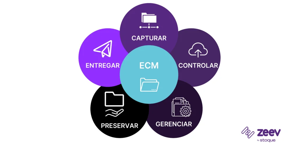 5 principais componentes do ECM