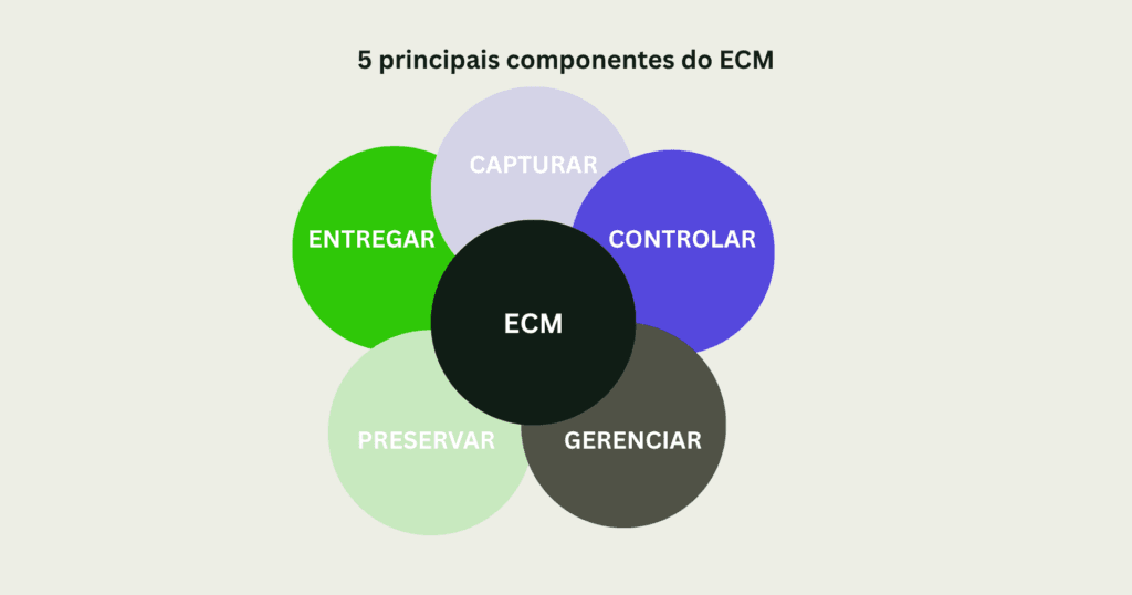 5 principais componentes do ECM